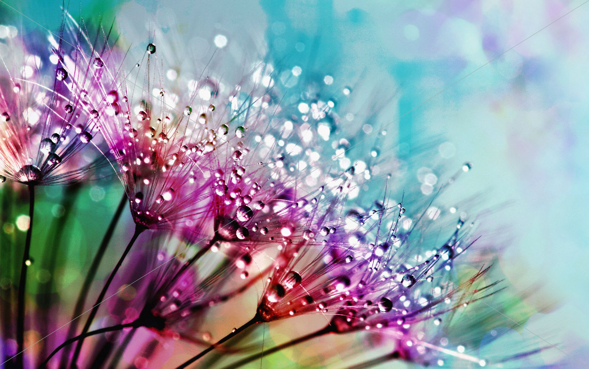beautiful blur blurred background